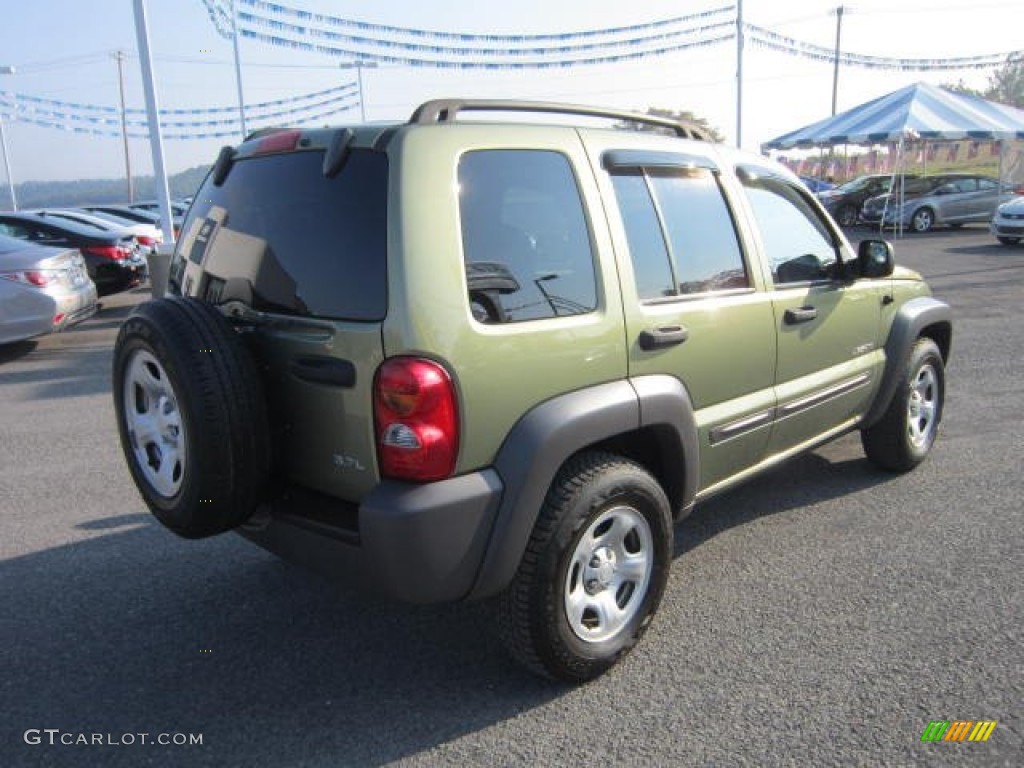 2004 Liberty Sport 4x4 - Cactus Green Pearl / Dark Slate Gray photo #7