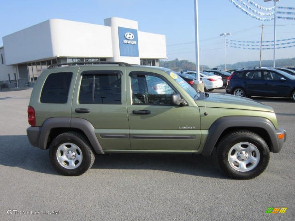 2004 Liberty Sport 4x4 - Cactus Green Pearl / Dark Slate Gray photo #8