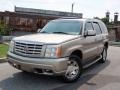 Silver Sand - Escalade AWD Photo No. 30