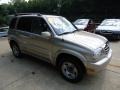 Cool Beige Metallic - Grand Vitara LX 4WD Photo No. 5