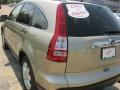 Borrego Beige Metallic - CR-V EX 4WD Photo No. 6