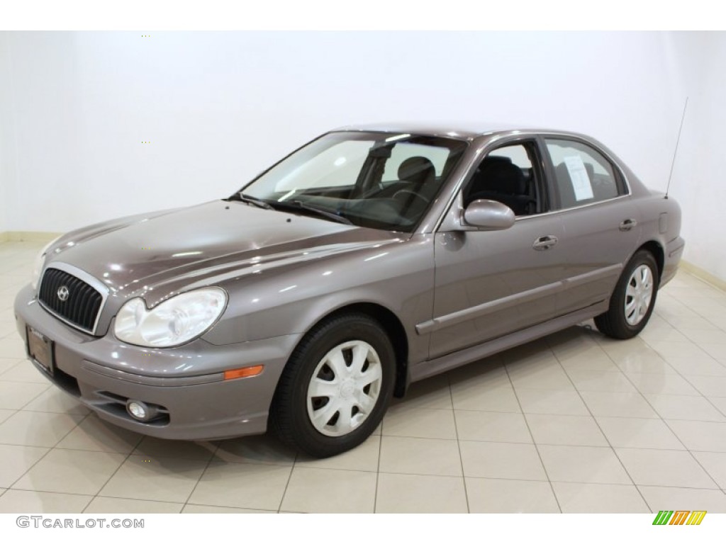 2004 Sonata V6 - Slate Gray / Black photo #3