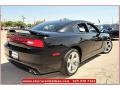Pitch Black - Charger R/T Plus Photo No. 8
