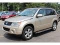 2009 Sandstorm Metallic Suzuki Grand Vitara Luxury 4x4  photo #2