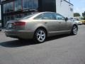 2009 Dakar Beige Metallic Audi A6 3.0T quattro Sedan  photo #5