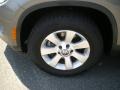 Alpine Grey Metallic - Tiguan S Photo No. 3