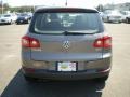 Alpine Grey Metallic - Tiguan S Photo No. 6