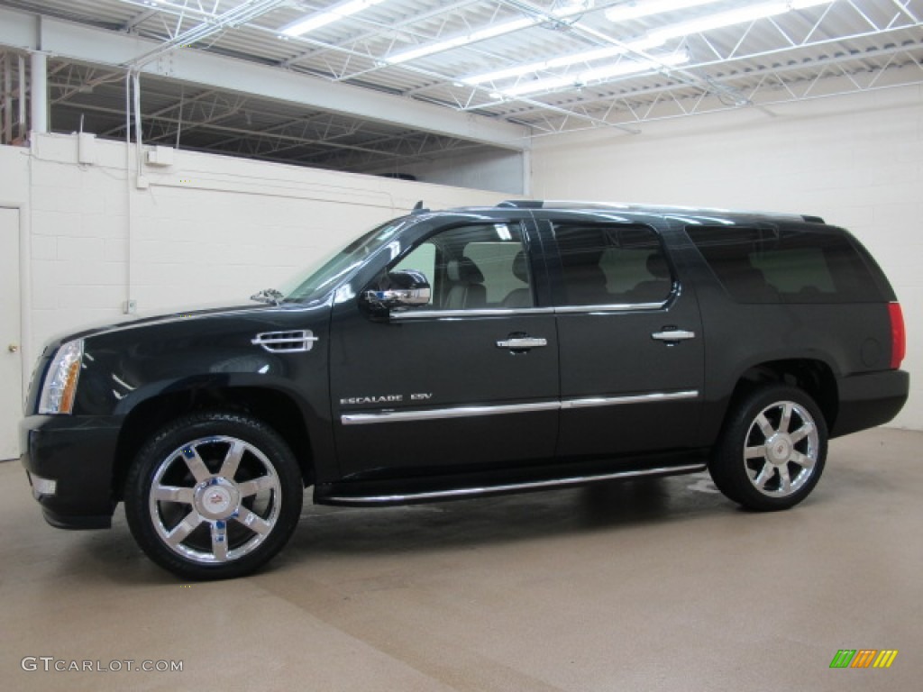 Black Ice 2010 Cadillac Escalade ESV Luxury AWD Exterior Photo #68976914