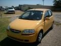 Summer Yellow - Aveo LS Hatchback Photo No. 1