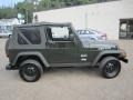 2005 Moss Green Pearlcoat Jeep Wrangler X 4x4  photo #8