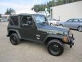 2005 Moss Green Pearlcoat Jeep Wrangler X 4x4  photo #9