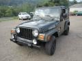 2005 Moss Green Pearlcoat Jeep Wrangler X 4x4  photo #12