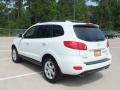 2009 Powder White Pearl Hyundai Santa Fe Limited  photo #7