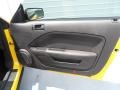 Dark Charcoal 2006 Ford Mustang V6 Deluxe Coupe Door Panel