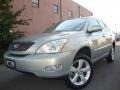 2004 Bamboo Pearl Lexus RX 330 AWD  photo #1