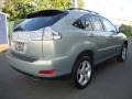 2004 Bamboo Pearl Lexus RX 330 AWD  photo #3