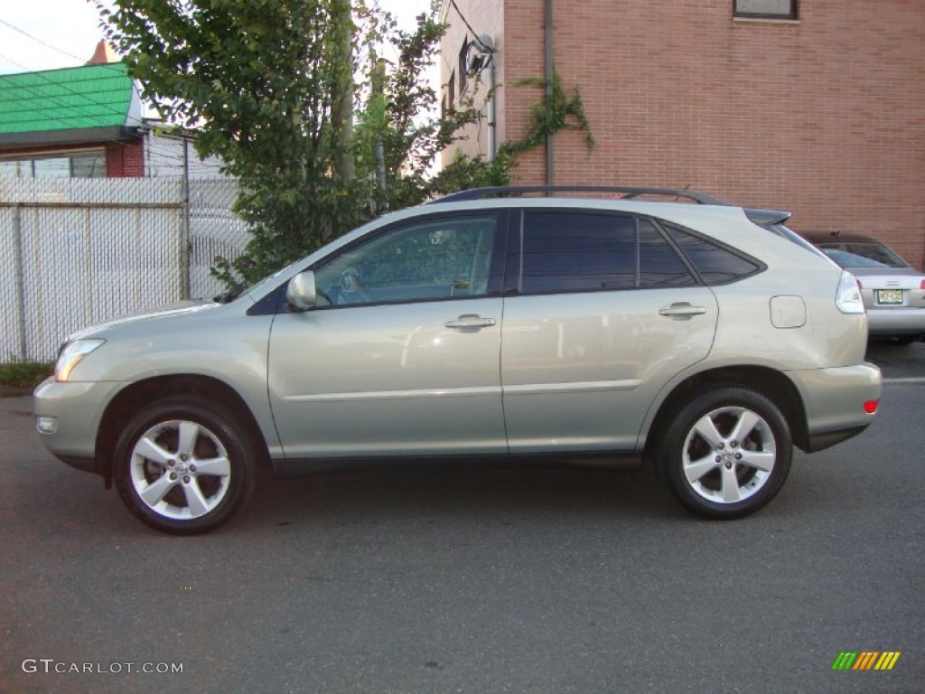 Bamboo Pearl 2004 Lexus RX 330 AWD Exterior Photo #68993017