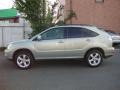 Bamboo Pearl 2004 Lexus RX 330 AWD Exterior