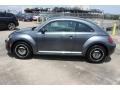 Platinum Gray Metallic 2013 Volkswagen Beetle 2.5L Exterior