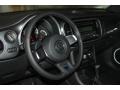Platinum Gray Metallic - Beetle 2.5L Photo No. 15