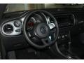 Platinum Gray Metallic - Beetle 2.5L Photo No. 16