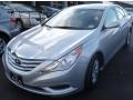 Radiant Silver - Sonata GLS Photo No. 6