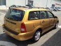 2001 Jackpot Gold Metallic Ford Focus SE Wagon  photo #6