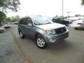 2004 Everglade Green Metallic Toyota RAV4 4WD  photo #1