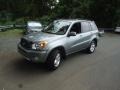 Everglade Green Metallic - RAV4 4WD Photo No. 3