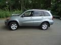 2004 Everglade Green Metallic Toyota RAV4 4WD  photo #4