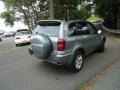 2004 Everglade Green Metallic Toyota RAV4 4WD  photo #7