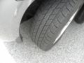 Magnesium Pearlcoat - Charger R/T Photo No. 17