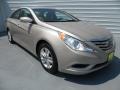 Camel Pearl - Sonata GLS Photo No. 1
