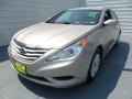 Camel Pearl - Sonata GLS Photo No. 6