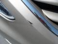 Camel Pearl - Sonata GLS Photo No. 8