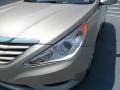 Camel Pearl - Sonata GLS Photo No. 9