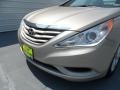 Camel Pearl - Sonata GLS Photo No. 10