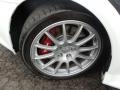 2010 Mitsubishi Lancer Evolution GSR Wheel and Tire Photo