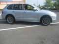 Iceland Silver Metallic - Cayenne S Titanium Photo No. 4