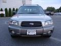 Crystal Gray Metallic - Forester 2.5 XS L.L.Bean Edition Photo No. 2