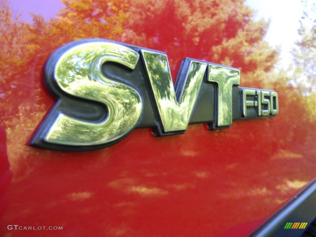 2003 Ford F150 SVT Lightning Marks and Logos Photo #69044543