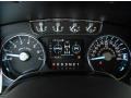Pale Adobe Gauges Photo for 2012 Ford F150 #69045755