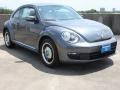 Platinum Gray Metallic - Beetle 2.5L Photo No. 1
