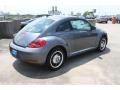 Platinum Gray Metallic - Beetle 2.5L Photo No. 8