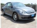 Platinum Gray Metallic - Beetle 2.5L Photo No. 1
