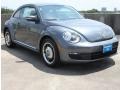 Platinum Gray Metallic - Beetle 2.5L Photo No. 1
