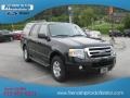 2010 Tuxedo Black Ford Expedition XLT 4x4  photo #4