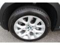 Titanium Silver Metallic - X5 xDrive35i Premium Photo No. 33