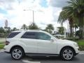 Arctic White - ML 350 Photo No. 5