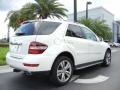 Arctic White - ML 350 Photo No. 6